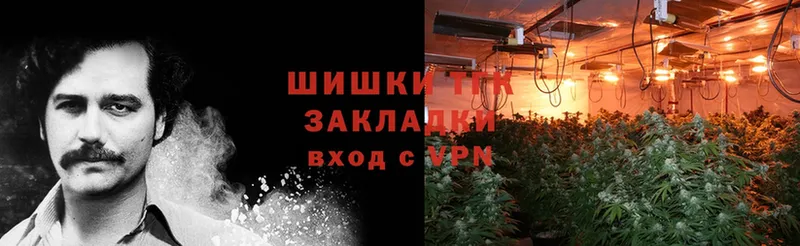 где можно купить наркотик  Горнозаводск  Канабис White Widow 